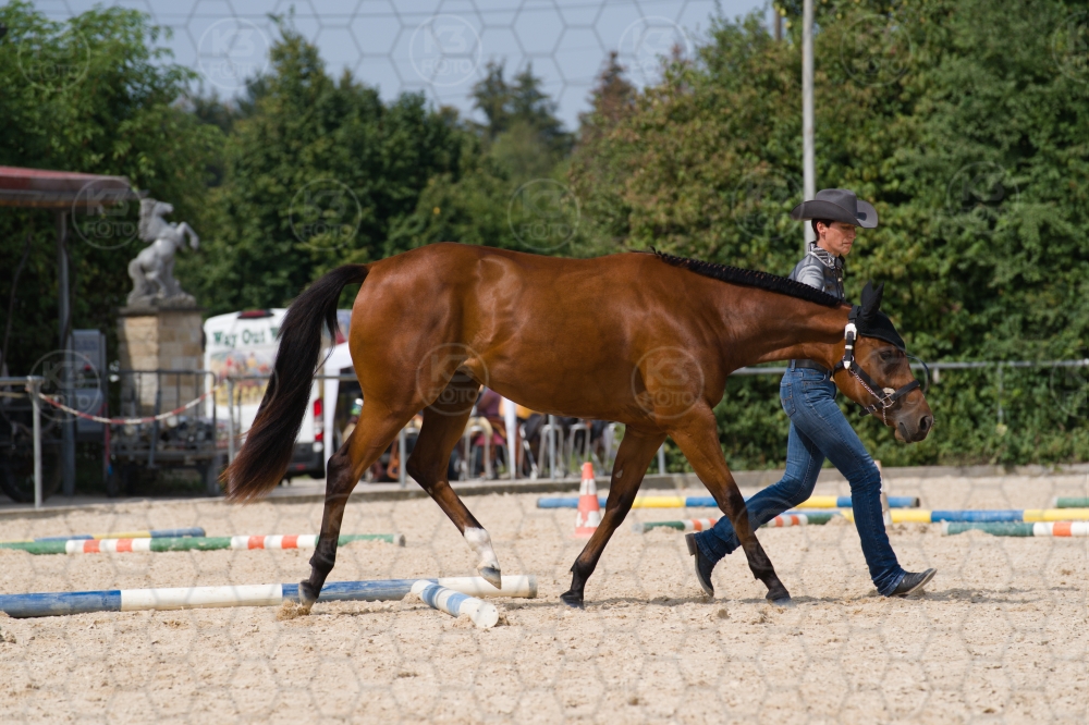 s_batch_A9_00076.jpg